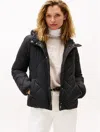 Tommy Hilfiger Hooded Quilted Jacket In Black