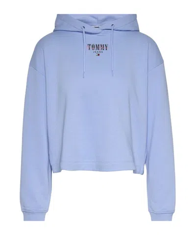 Tommy Hilfiger Hooded Sweater In Blue
