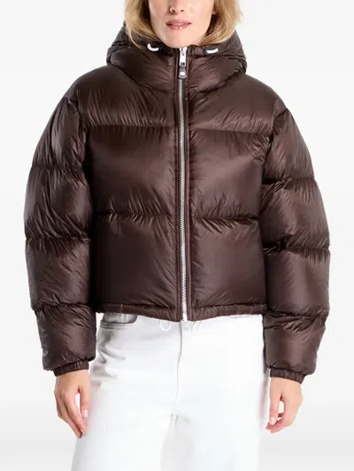 Tommy Hilfiger Hooded Zip Jacket In Brown