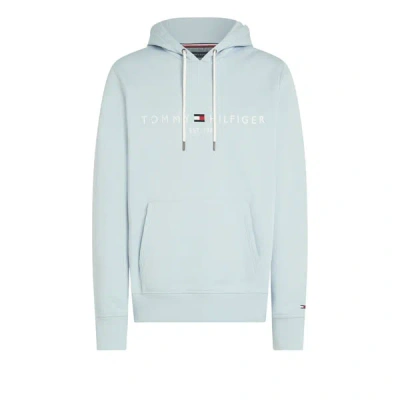 Tommy Hilfiger Hoodie En Coton In Green
