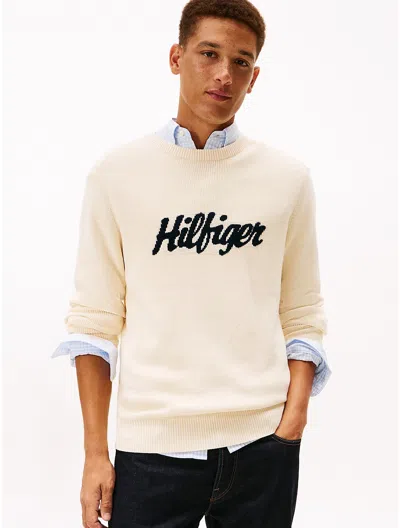 Tommy Hilfiger Intarsia Hilfiger Script Logo Sweater In Multi