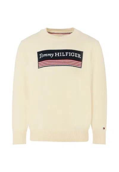 Tommy Hilfiger Kids' Ivory Sweater For Boy With Logo In Neutral