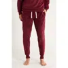 Tommy Hilfiger Joggers In Brown
