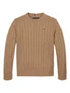 Tommy Hilfiger Junior Cotton Jumper In Neutrals