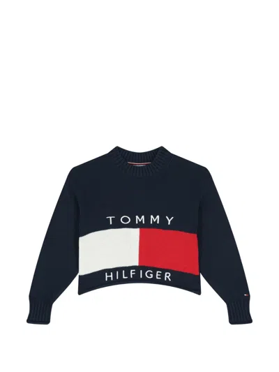 Tommy Hilfiger Junior Kids' Ribbed Flag Knitwear In Multi