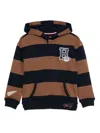 Tommy Hilfiger Junior Striped Hoodie In Multi