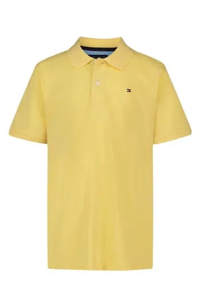 Tommy Hilfiger Kids' Ivy Polo In Brown