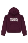 Tommy Hilfiger Kids' Logo Fleece Graphic Hoodie In Burgundy