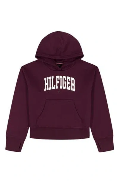Tommy Hilfiger Kids' Logo Fleece Graphic Hoodie In Burgundy