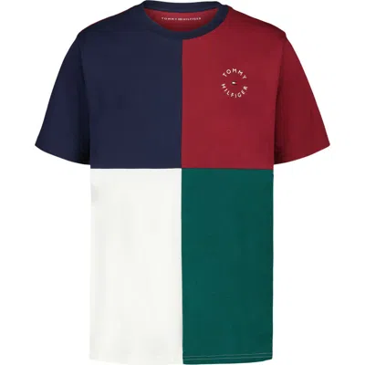 Tommy Hilfiger Kids' Quad Colorblock T-shirt In Multi