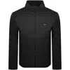 Tommy Hilfiger Lightweight Jacket Black In Black