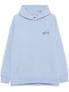 Tommy Hilfiger Sweaters In ブルー