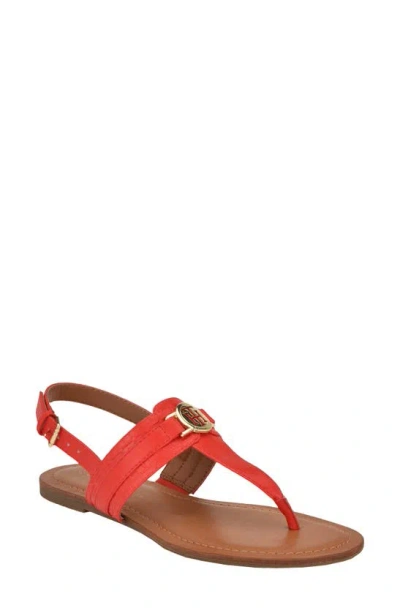 Tommy Hilfiger Logo Hardware T-strap Sandal In Red