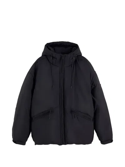 Tommy Hilfiger Logo-patch Hooded Padded Jacket In Black