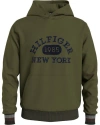 Tommy Hilfiger Hilfiger Monotype College Logo Hoodie In Green