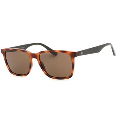 Tommy Hilfiger Men's Sunglasses  Th-1486-s-09n4-70  55 Mm Gbby2 In Brown