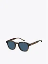 Tommy Hilfiger Modern Prep Oval Sunglasses In Havana