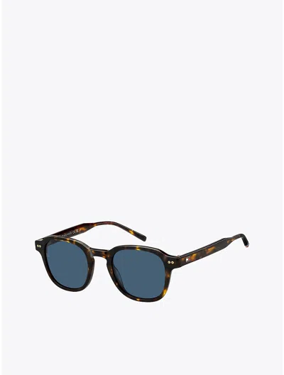Tommy Hilfiger Modern Prep Oval Sunglasses In Havana