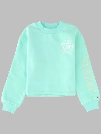 Tommy Hilfiger Organic Cotton Blend Crewneck Jumper In Green