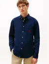 Tommy Hilfiger Regular Fit Brushed Oxford Shirt In Blue