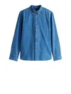 Tommy Hilfiger Shirt Collared Long Sleeves In Blue