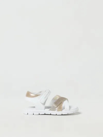 Tommy Hilfiger Shoes  Kids Color White