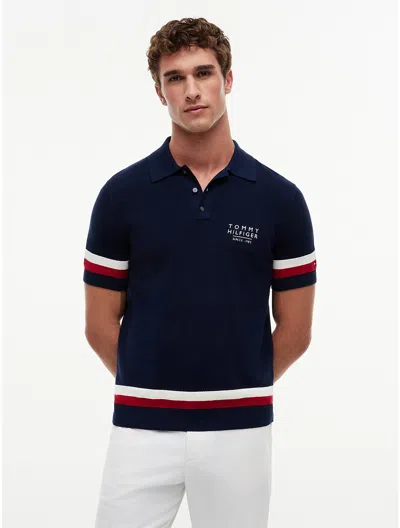 Tommy Hilfiger Signature Stripe Sweater Polo In Blue