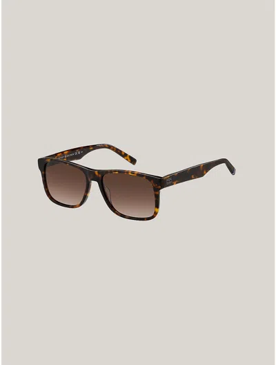 Tommy Hilfiger Square Frame Sunglasses In Havana