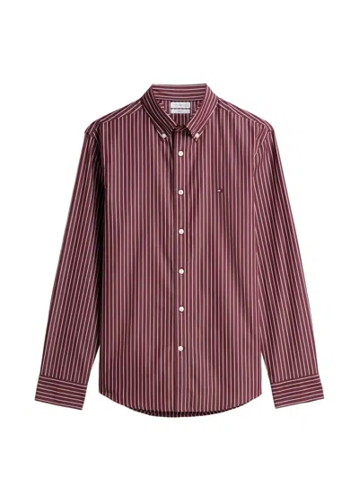 Tommy Hilfiger Striped Button-down Shirt In Pink