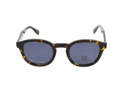 Tommy Hilfiger Sunglasses In Brown