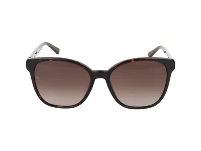 Tommy Hilfiger Sunglasses In Brown