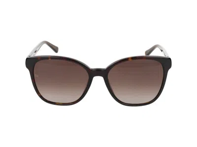 Tommy Hilfiger Sunglasses In Brown