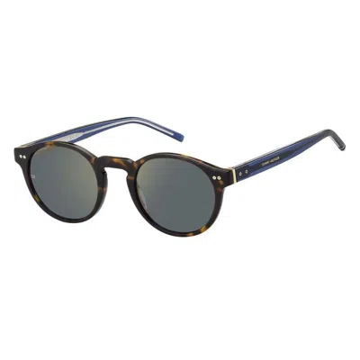 Tommy Hilfiger Sunglasses In Brown