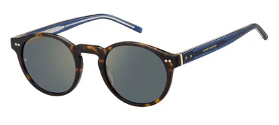 Tommy Hilfiger Sunglasses In Havana