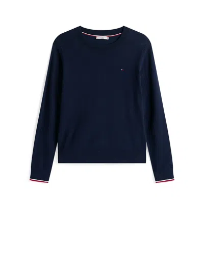 Tommy Hilfiger Sweaters In Blue