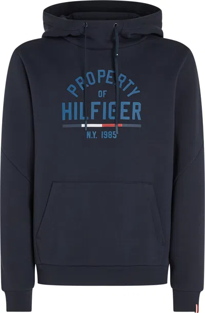 Tommy Hilfiger Sweaters Blue In Blu Blu E Verdi