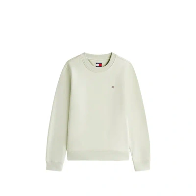 Tommy Hilfiger Sweatshirt En Coton In Green