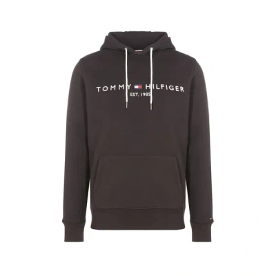 Tommy Hilfiger Hoodie À Logo En Coton Biologique In Black
