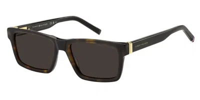 Tommy Hilfiger Th 2309/s 086/70 Men's Sunglasses Tortoiseshell Size 55 In Brown