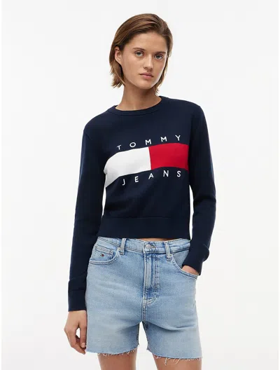 Tommy Hilfiger Tommy Jeans Intarsia Flag Logo Sweater In Blue
