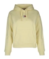 Tommy Hilfiger Tommy Jeans Logo Embroidered Drawstring Hoodie In Neutral