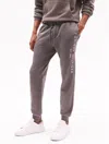 Tommy Hilfiger Tommy Logo Sweatpant In Shady Stone