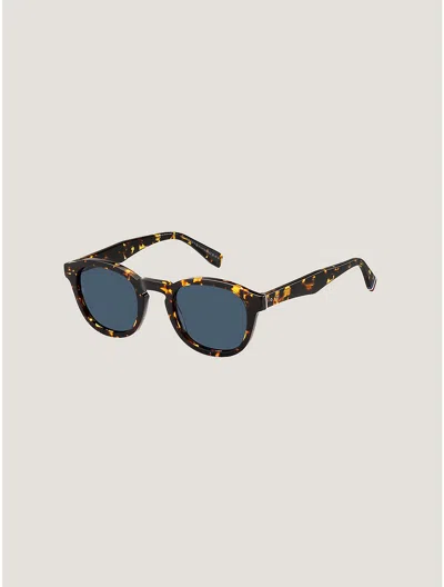 Tommy Hilfiger Transparent Mod Sunglasses In Havana