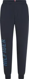 Tommy Hilfiger Trousers Blue In Blu Blu E Verdi