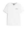 Tommy Hilfiger T-shirts And Polos White In White