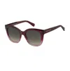 Tommy Hilfiger Sunglasses In Multi