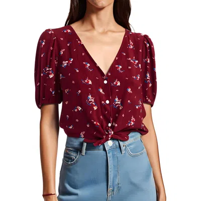Tommy Hilfiger Womens Printed Knit Cropped In Multi