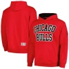 TOMMY JEANS TOMMY JEANS RED CHICAGO BULLS GREYSON PULLOVER HOODIE
