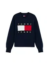 Tommy Jeans Sweaters Blu In Multi