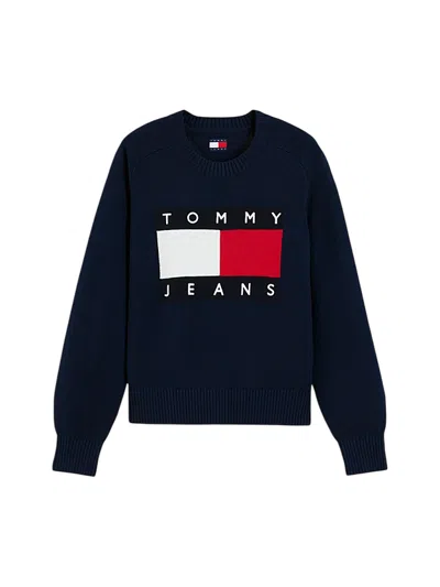 Tommy Jeans Sweaters Blu In Multi